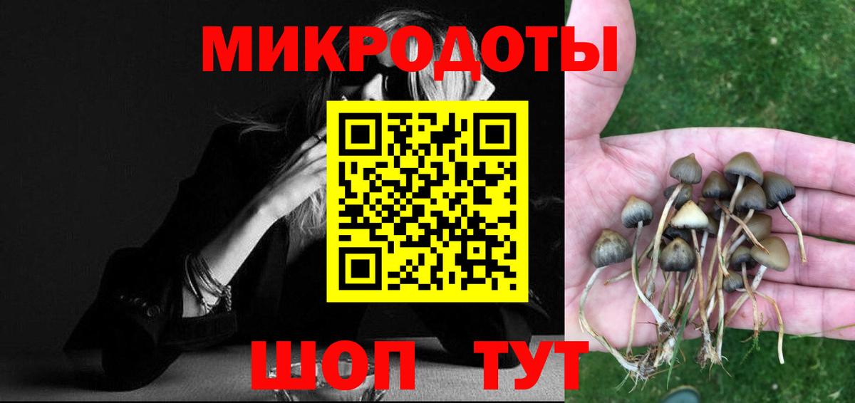 Дальнереченск  Галлюциногенные грибы GOLDEN TEACHER  Вход с VPN  Псилоцибиновые грибы мицелий 
